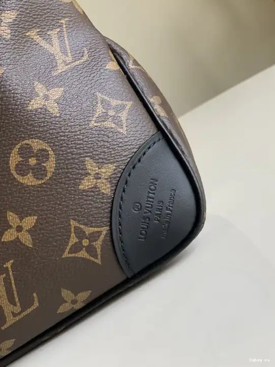 LOUIS VUITTON PM ODÉON 0520